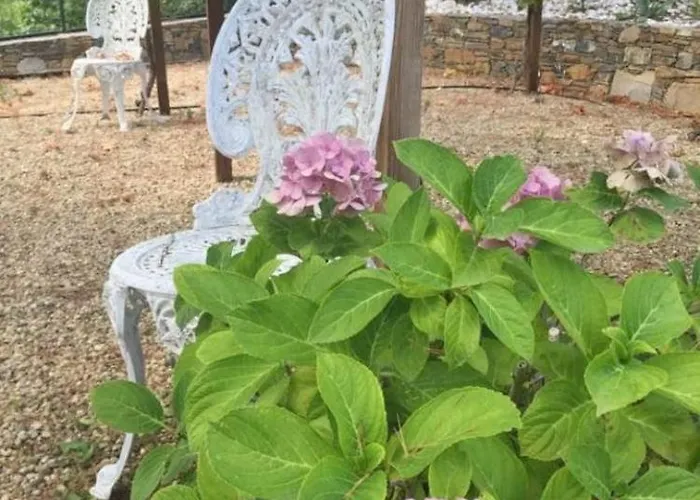 Elianna In Oasi Marina Вилла Алассио